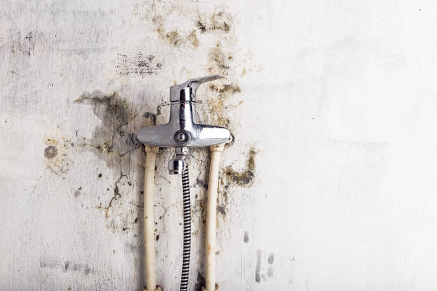 Best Residential Mold Removal  in Sleepy Hollow, NY