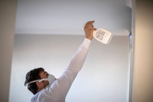 Best Crawl Space Mold Removal  in Sleepy Hollow, NY