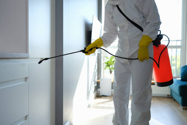 Best Attic Mold Removal  in Sleepy Hollow, NY